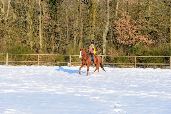 trot dans la neige