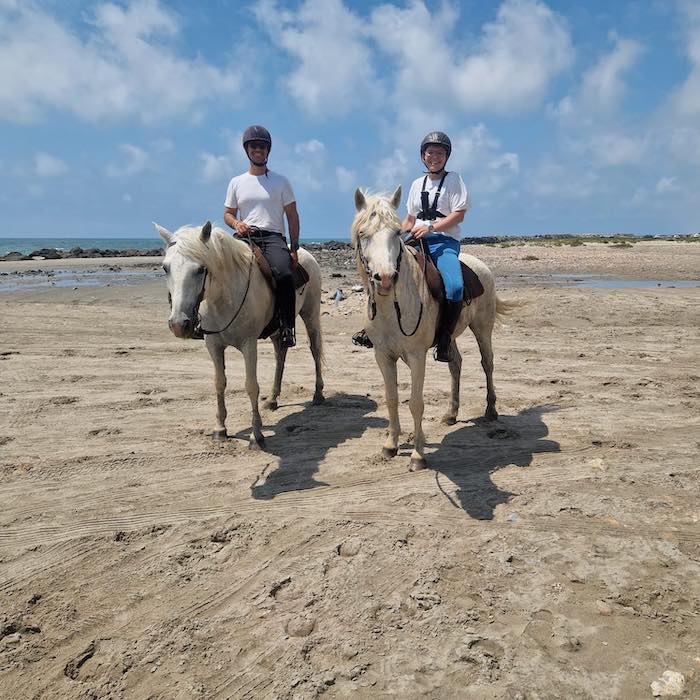 camargue ete balade a cheval
