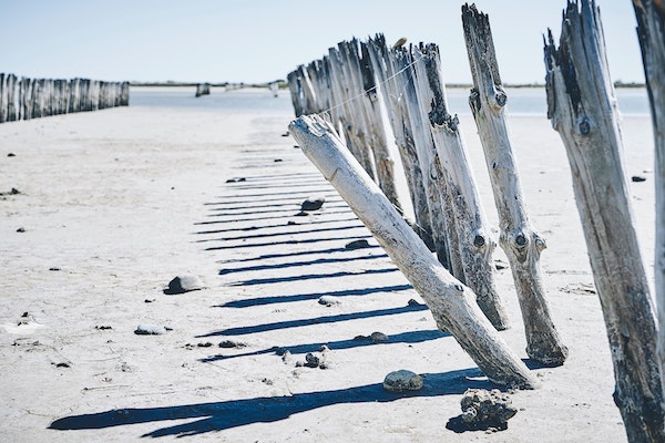 plage en camargue