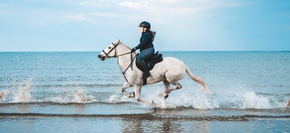 casque cheval