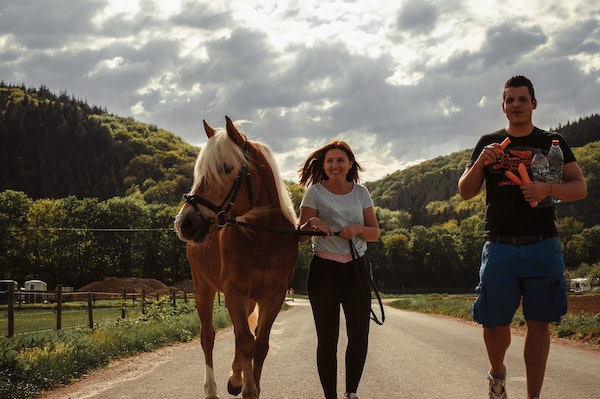 travailler le cheval qui a peur des voitures