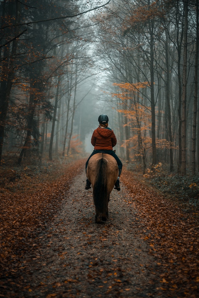 vetements chauds equitation