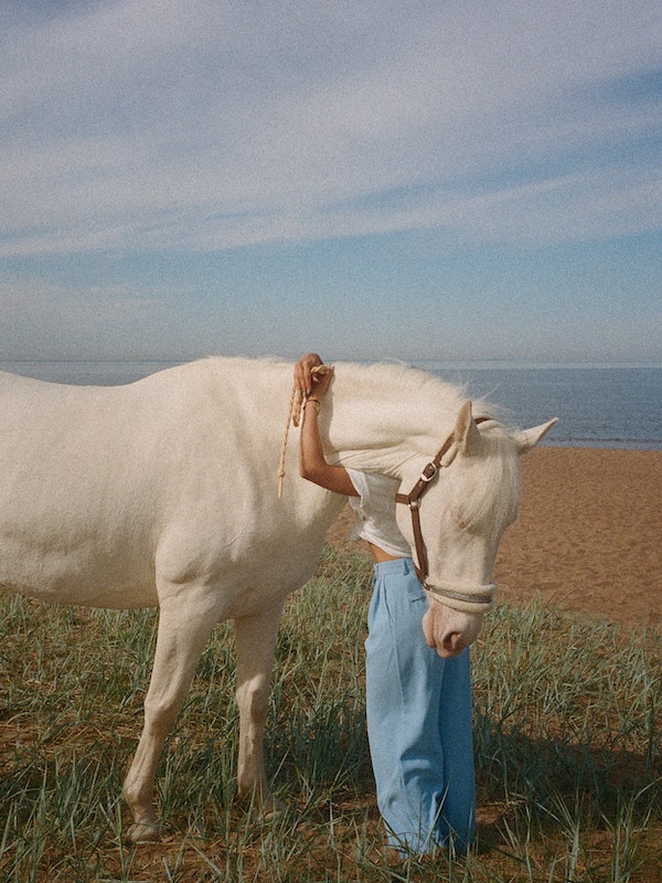 complicite cheval cavaliere