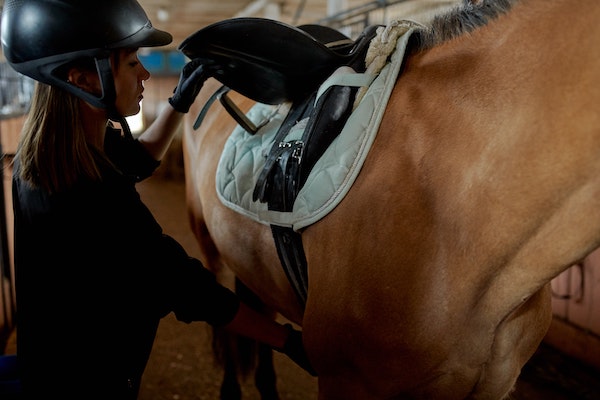 preparation du cheval avant la balade