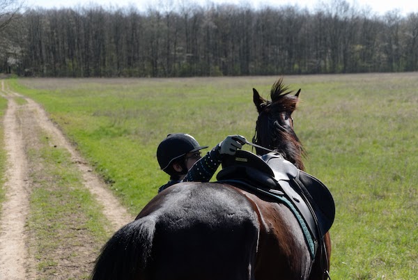 chemin de balade à coté de Cheval Nature