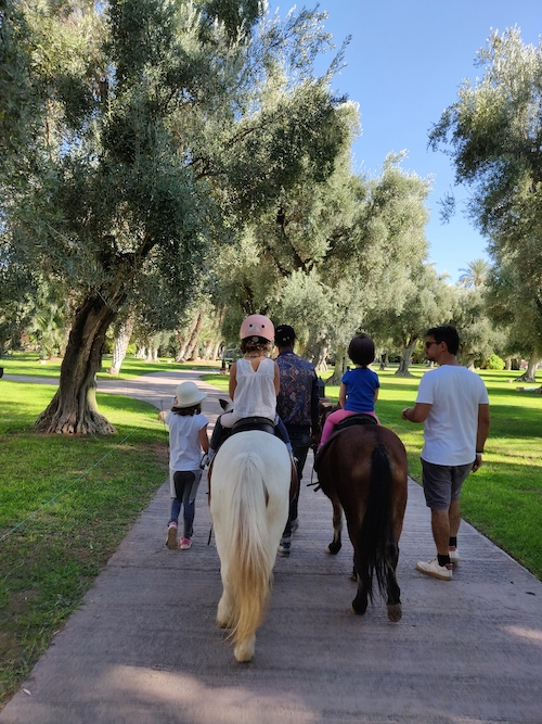 balades poney