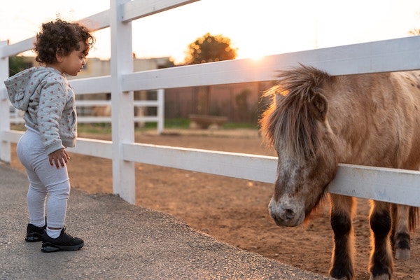 balades poney