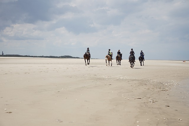 chevaux au galop sur la plage