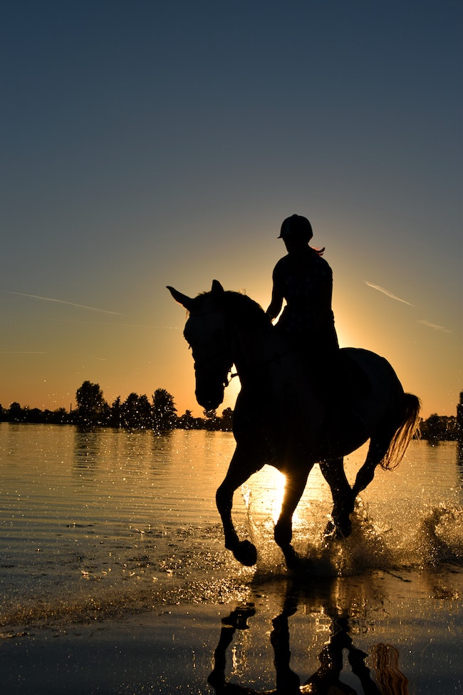 grand galop sur la plage