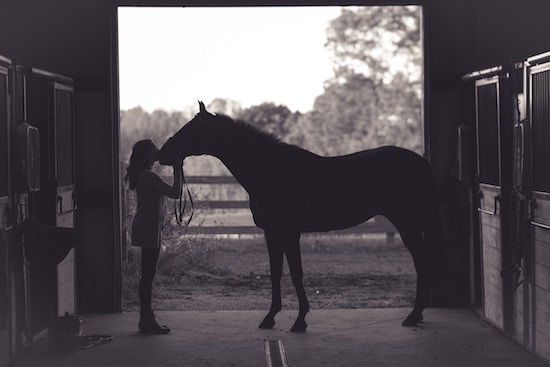 proprietaire et son cheval