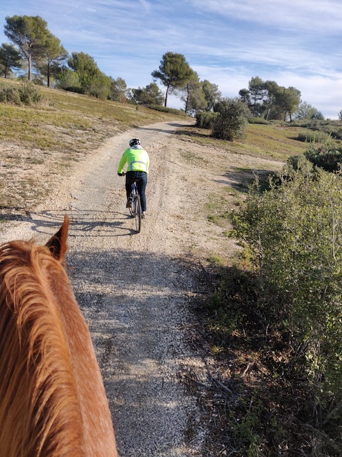 balade cheval et velo