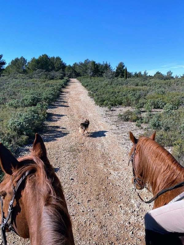 balade a cheval a deux