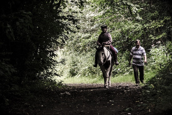 balade a cheval et a pied