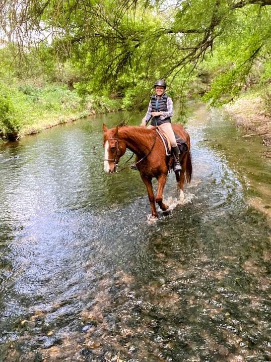 riviere a cheval