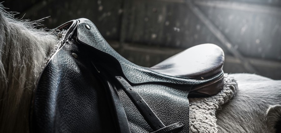 Coussin De Selle Ridex - Équitation Western Et Anglaise - Sans Arbre - Neuf
