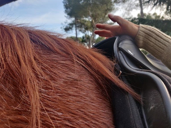 selles equitation
