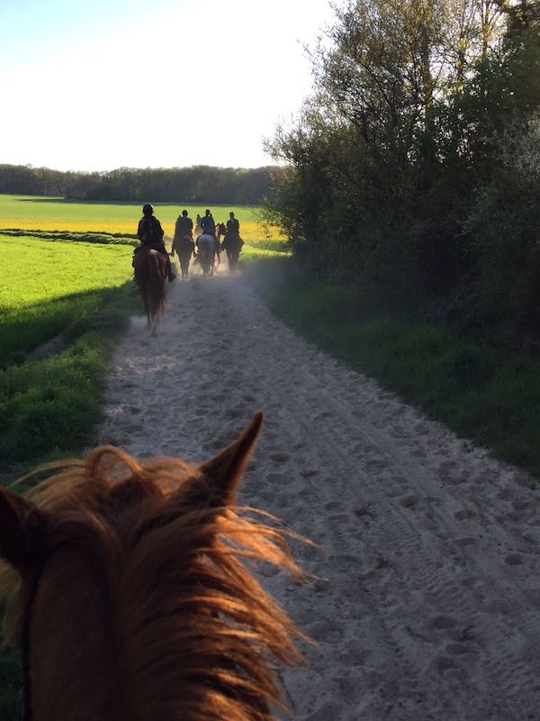 la balade a cheval en groupe