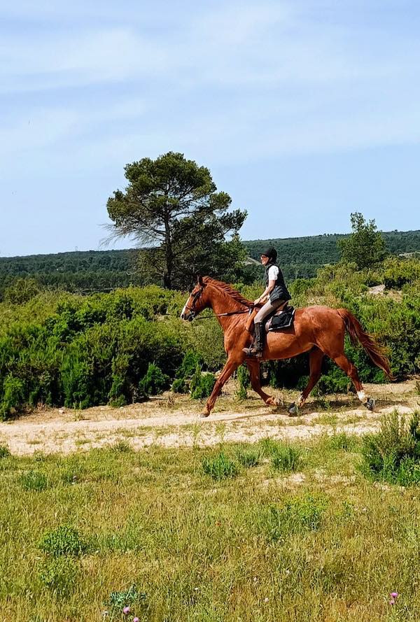trotting un jour de vent