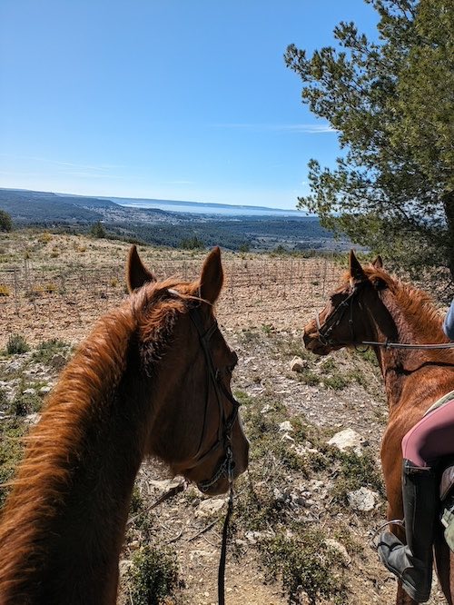 promenade a cheval bouches du rhone