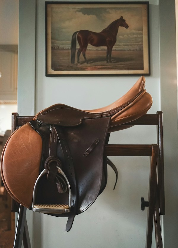 selle cuir
