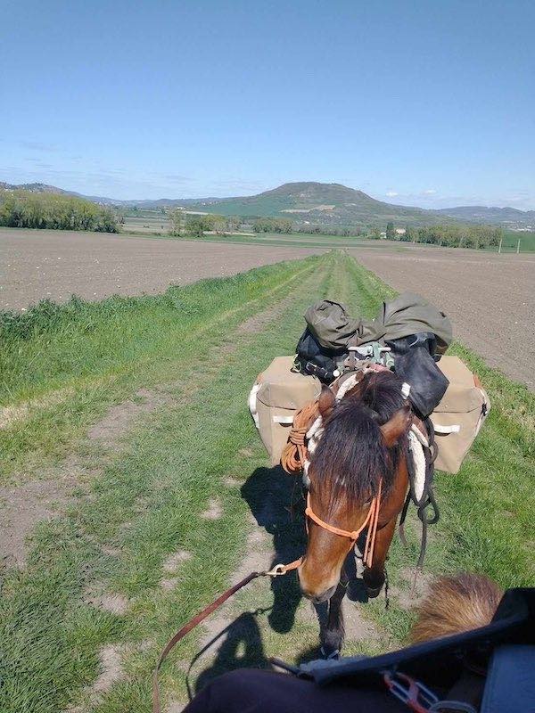 bat d un cheval