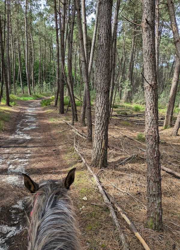 randonnee cheval sarthe
