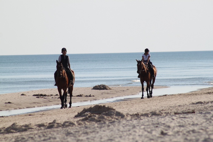 balade a cheval Haute Corse
