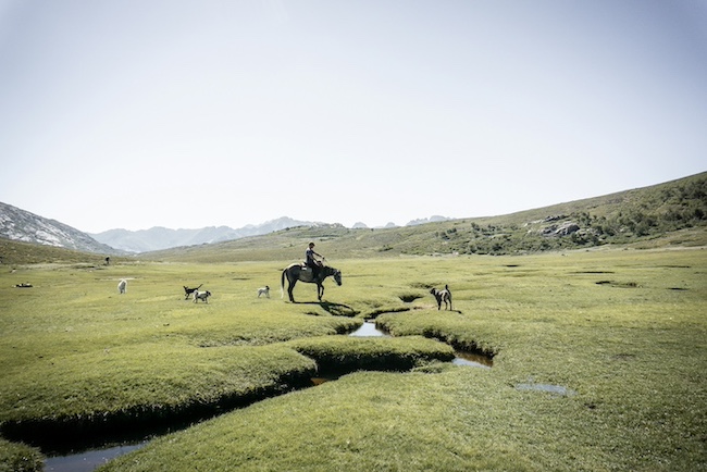 rando a cheval corse