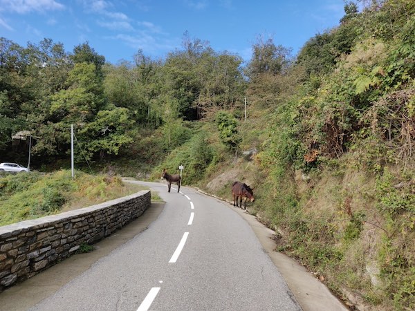 route corse du sud
