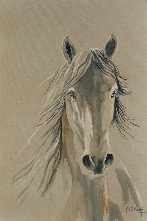 aquarelle veronique de saint vaulry