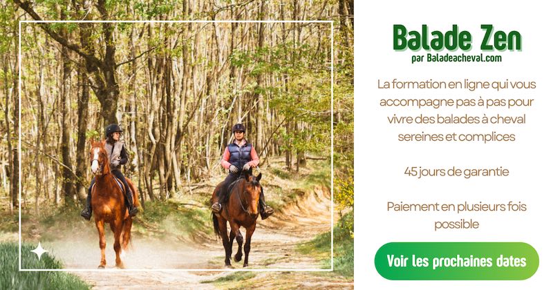 Balade Zen les prochaines dates