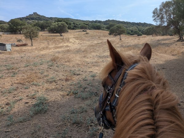 balade a cheval campagne corse