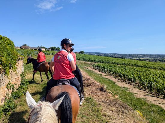 balade a cheval dans les vignes