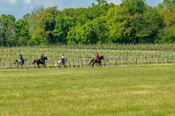 galop route des cardinaux