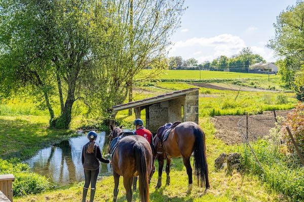 Randonnée équestre Charente Maritime