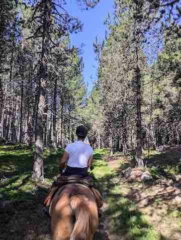 balade a cheval pyrenees