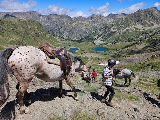 gerer la descente avec un cheval