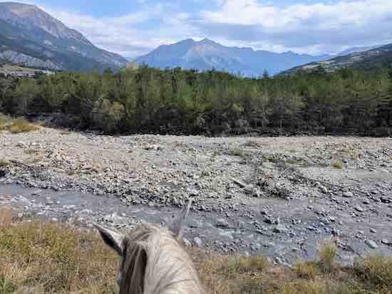 cheval regarde les montagnes