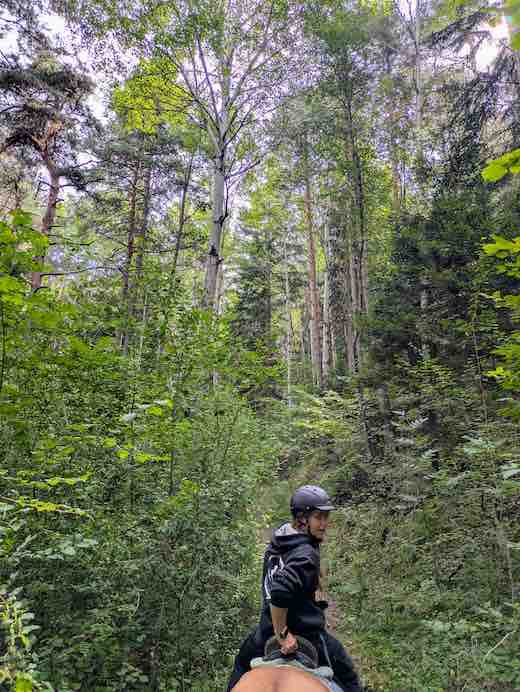 foret ubaye